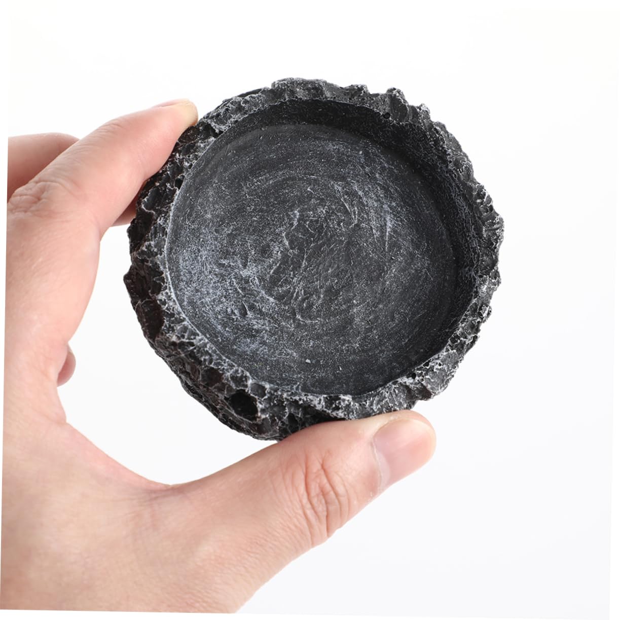1set Ciotole per Rettili con Pinzette Ciotola per Cibo Drago Barbuto e Abbeveratoio per Tartarughe Accessori per Terrario e Bowls