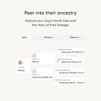 Embark Breed Identification Kit - Most Accurate Dog DNA Testing Kit - 99% Breed Ancestry Accuracy for Mixed Breed Dogs - Plus Relative Finder & Family Tree