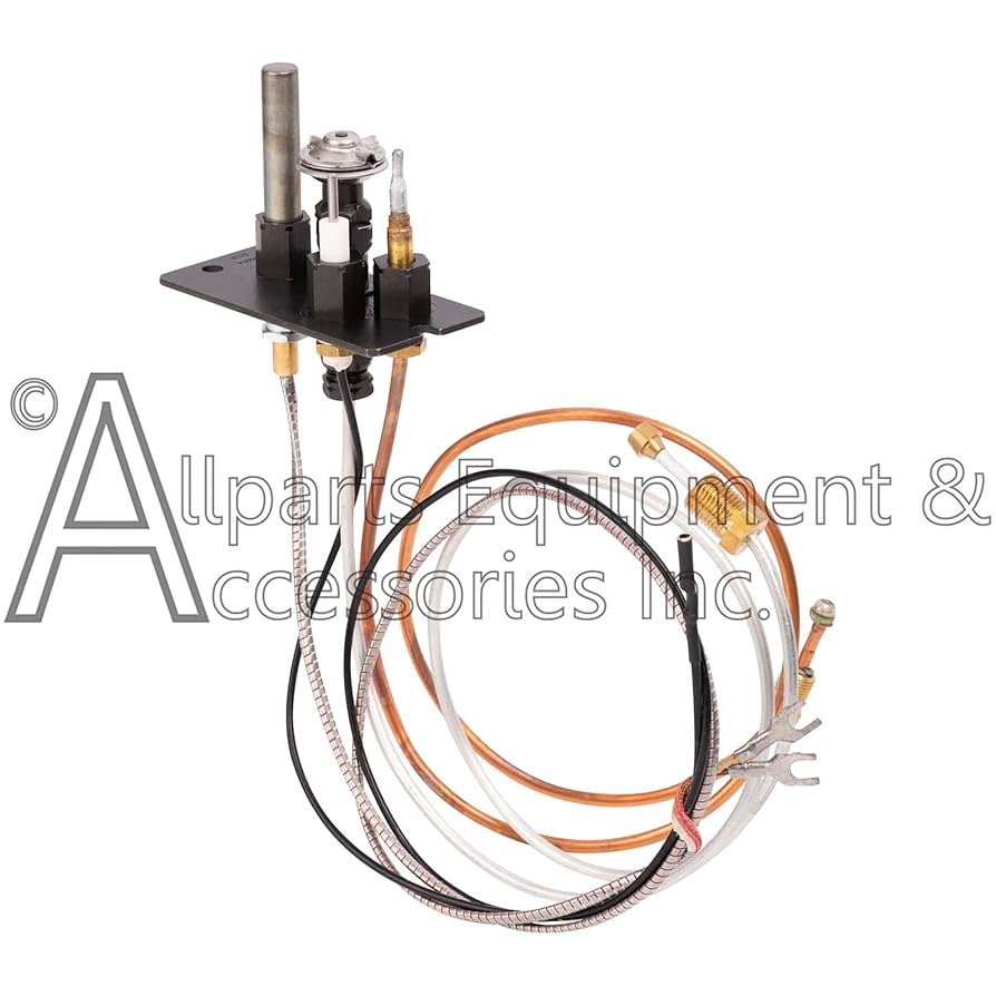 Amazon.com: Allparts Equipment & Accessories 0199768 3-Way