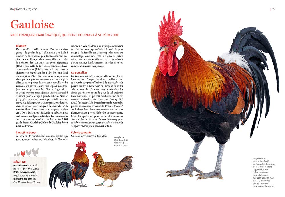 Guide des races de poules - 130 races françaises & étrangères: 130 races françaises et étrangères