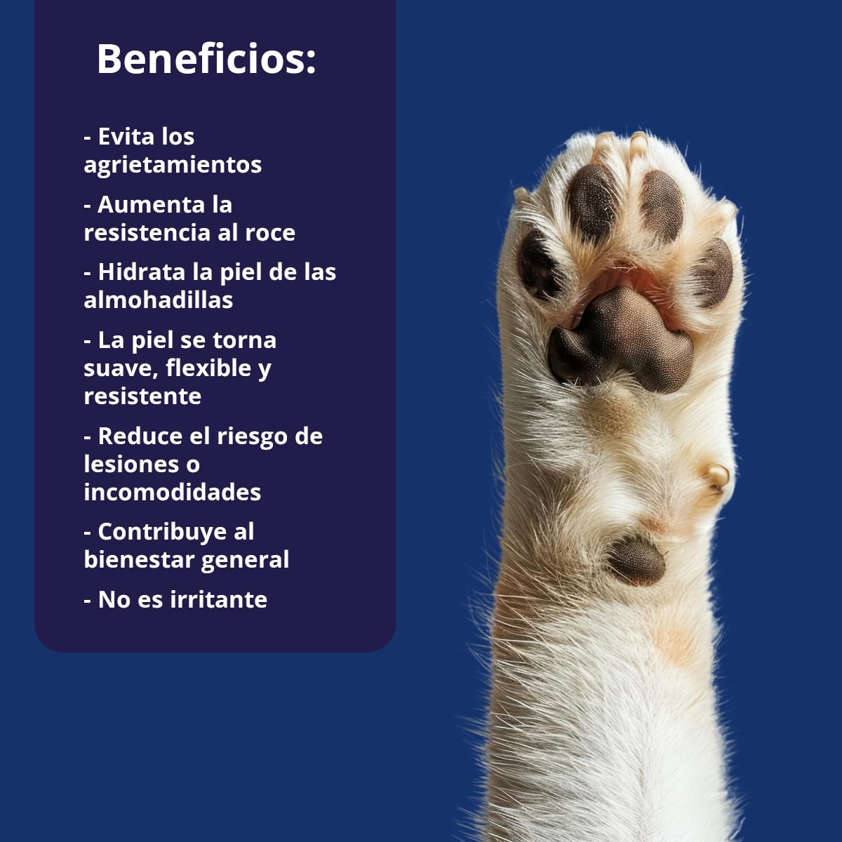Gel Protector de Almohadillas para Gato con Aloe Vera - Previene Grietas y Heridas - Repara e Hidrata - Fórmula con pH Adaptado y Extracto Natural - 60 ml