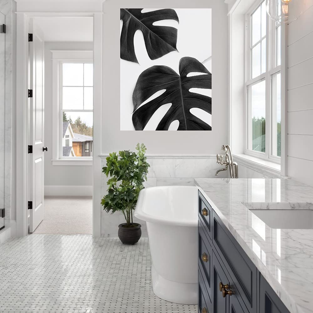 philodendron 'black cardinal' Philodendron Black Cardinal: Buy Plant Online In India