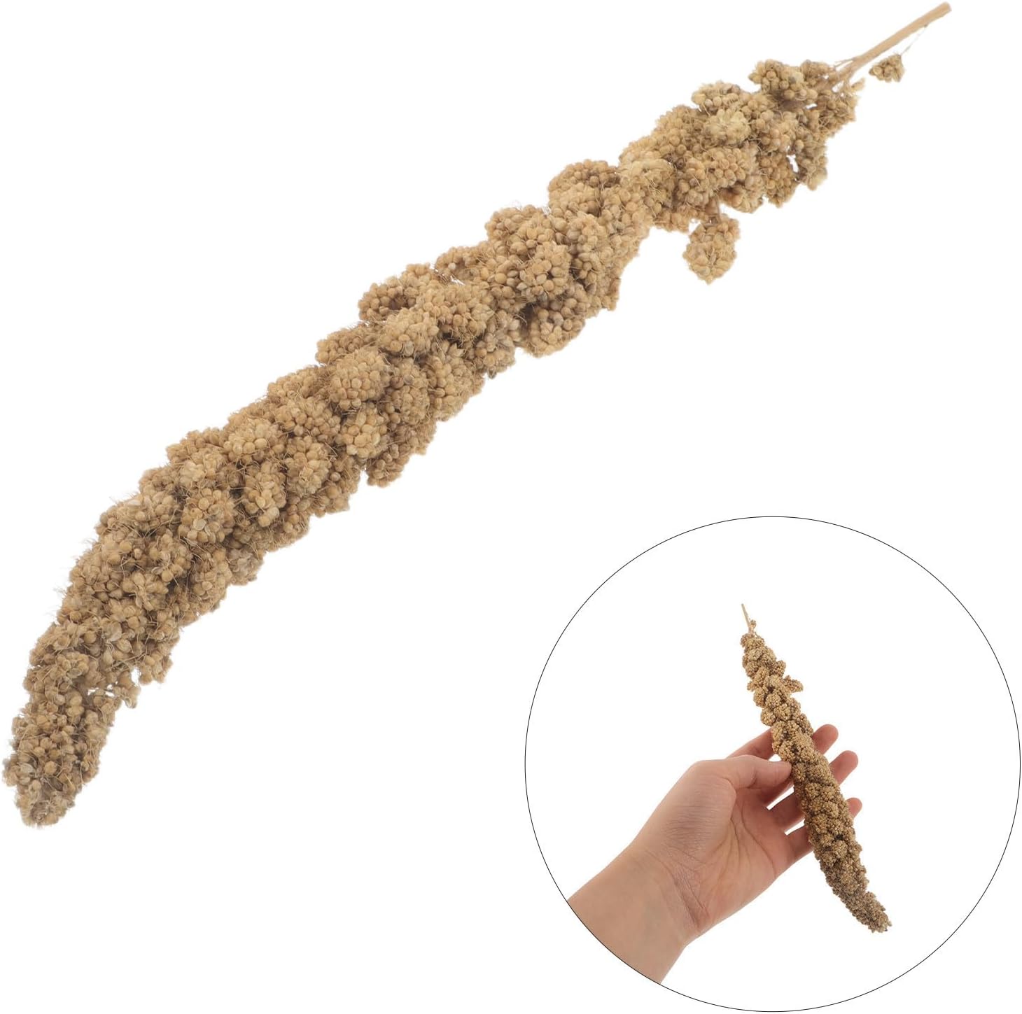 BESPORTBLE Millet Treat for Parrots and Lovebirds, Nutritious Bird Snack with Wild Foraging Experience and Easy Cage Setup, 500g Pack