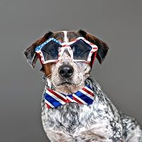 Vista 4 de Threetols Cinta patriótica con borde de alambre de 2.5 pulgadas, 10 yardas, cinta con alambre de purpurina roja y azul para el Día de los Caídos