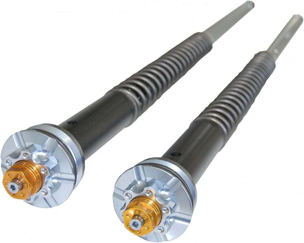 Andreani Fork Cartridge Kit, Fits 2015-2018 KTM RC390 & '14-'16 390 Duke with NON-THROUGH BOLT FORKS ONLY