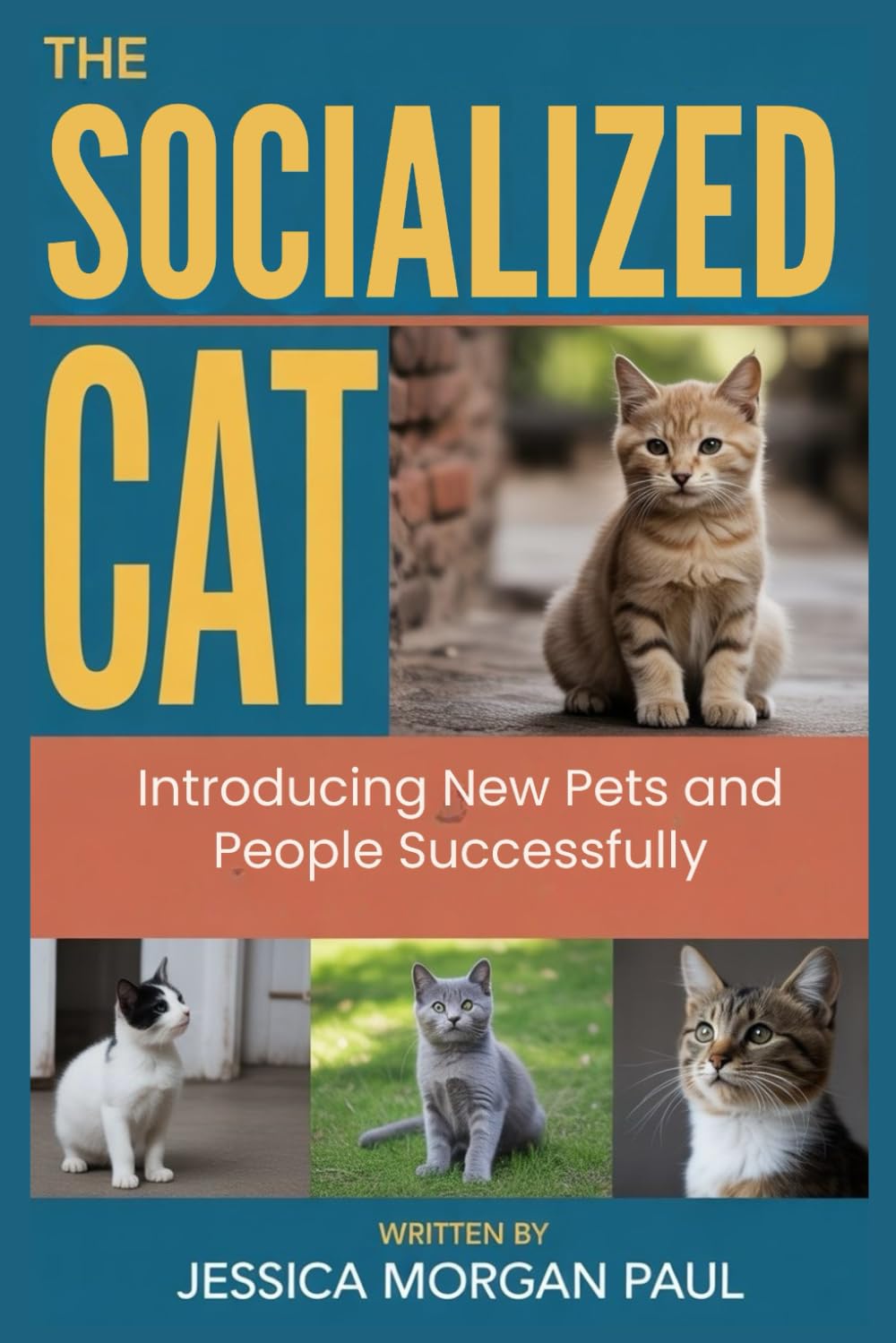 The Socialized Cat: Introducing New Pets and People Successfully (The Feline Training Masterclass)