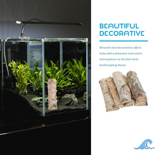 Miniatura 4 de EXCEART 8 piezas de mini troncos de abedul ramas de abedul naturales DIY adorno de Navidad manualidades, mini tronco de madera, abedul de madera,