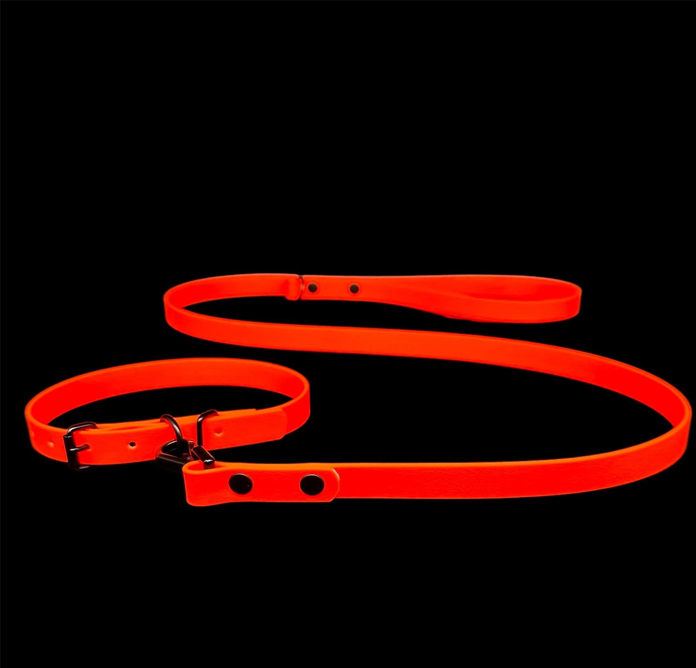 Waterproof Biothane Dog Lead & Collar Set | Metal Buckle | Black Rivets | Ultra Durable…