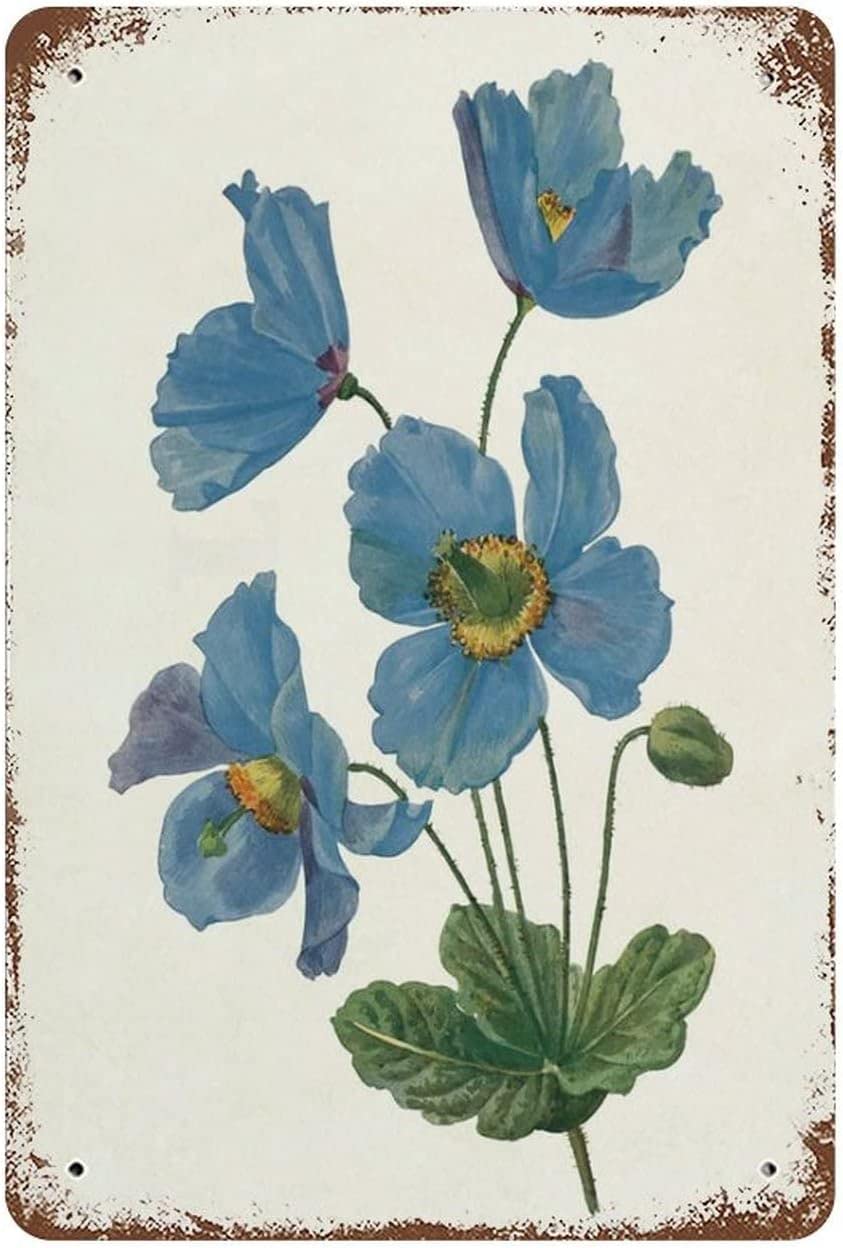rayprint Vintage Metal Sign Blue Poppy Flower Botanical Tin Poster Funny Novelty Kitchen Bar Club Garage Garden Home Decor Wall Art Tin Signs 8x12inch