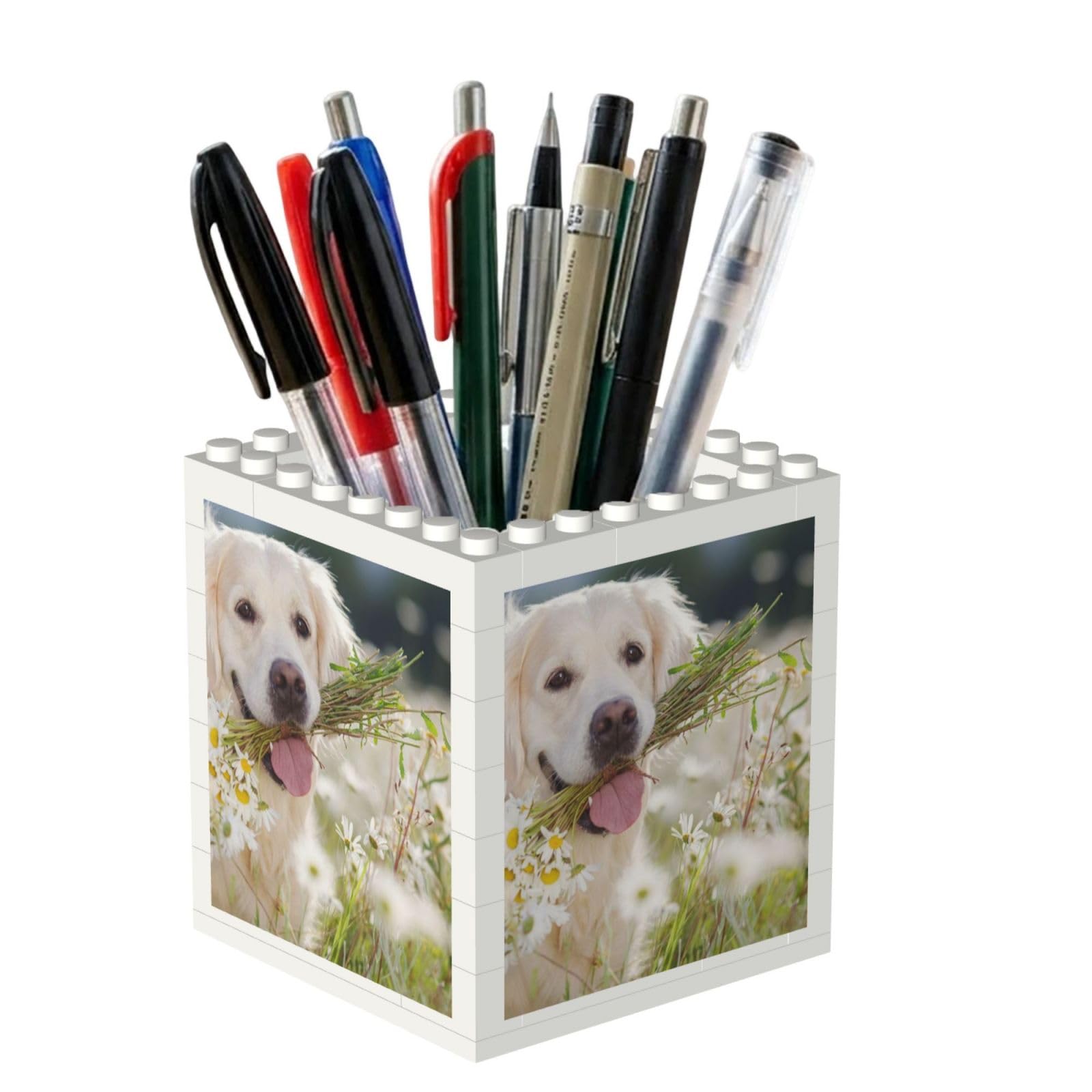 Poadnly Golden Retriever, Pen Pot Pencil Holder for Office Home School, Compact Desk Organiser for Office Stationery