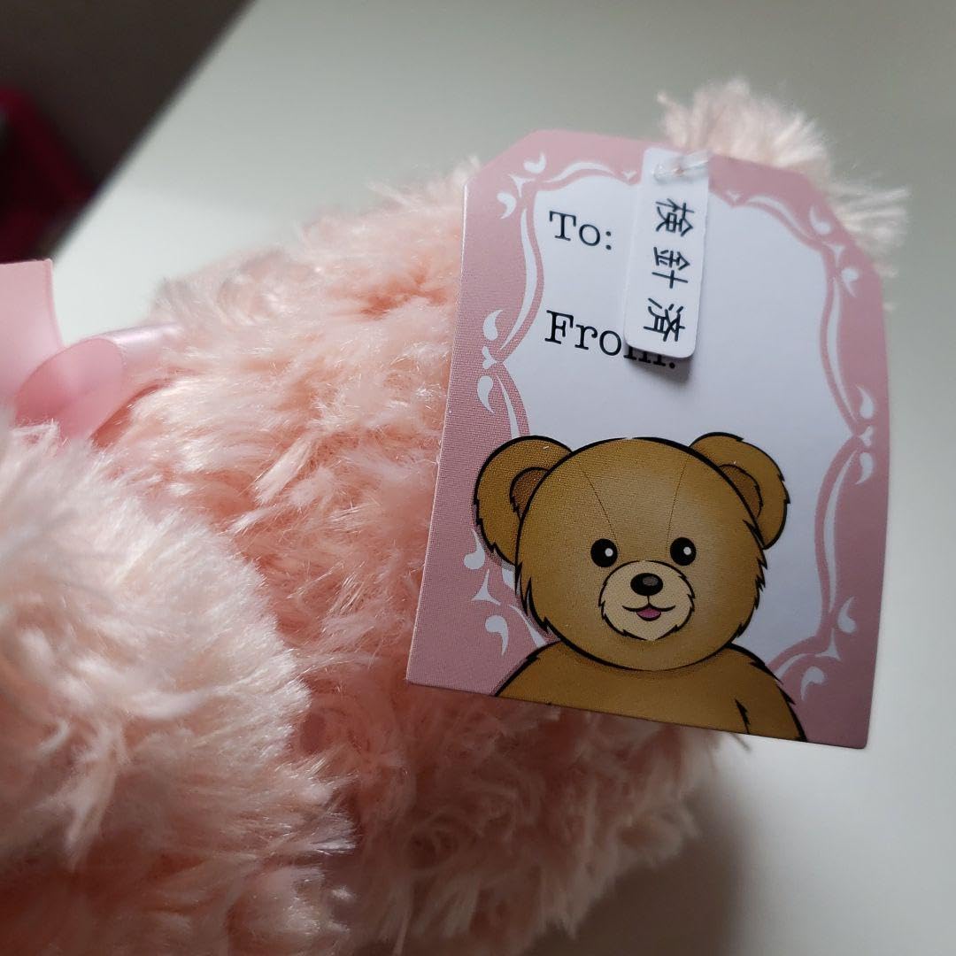 ハニートイズ　クマ　ぬいぐるみ　中古品 ダイソー キャンペーン ハニーテディベア くま ぬいぐるみ 4点