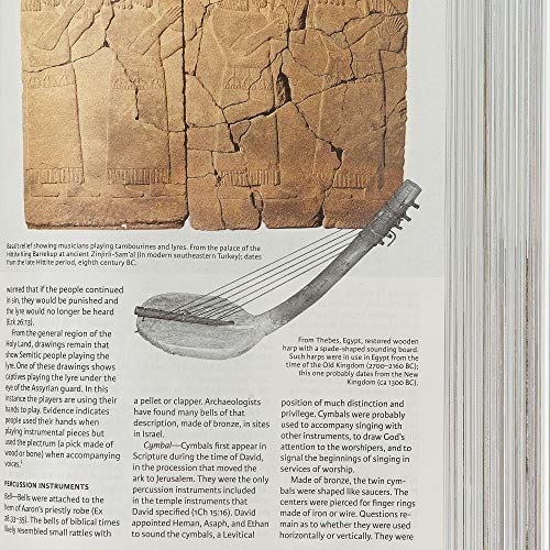 Holman Bibles 9781535997928 Csb Holy Land Illustrated Bible thumb #4