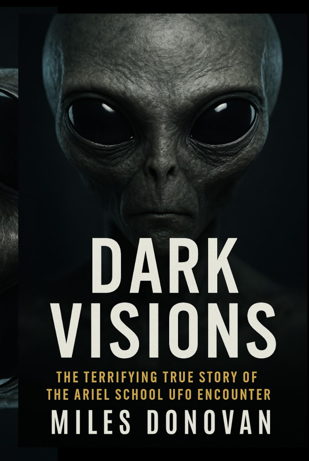 Dark Visions: The Terrifying True Story of the Ariel School UFO Encounter