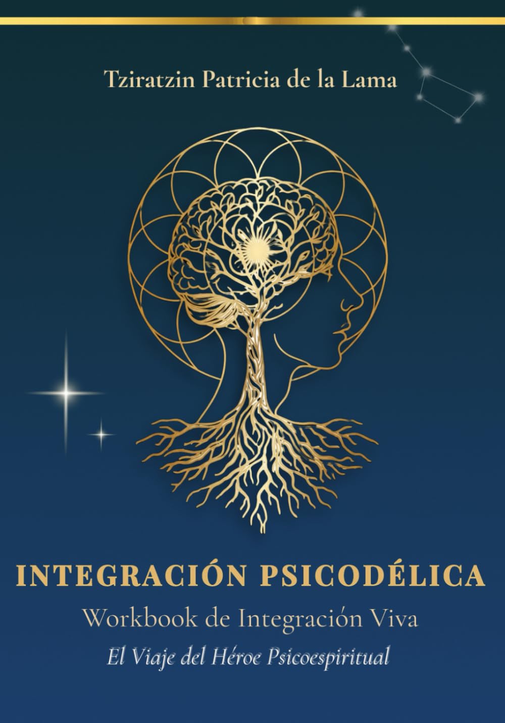 EL VIAJE DEL HÉROE PSICOESPIRITUAL: Una guía de integración, reflexión y acompañamiento post-experiencia