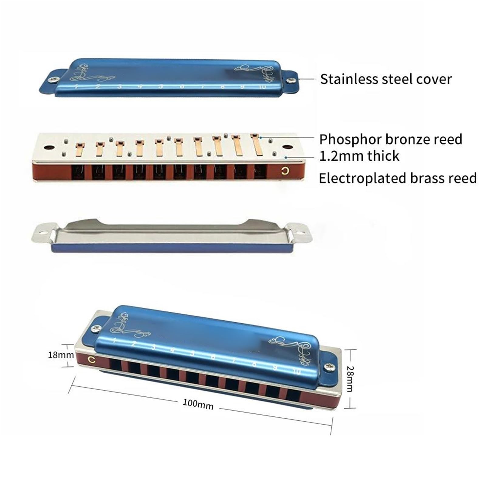 principianti armonica Armonica Blues A 10 Fori Armonica Blues Diatonica Con Custodia/Armonica Più Professionale Per Giocatori Principianti Adulti(Blue)