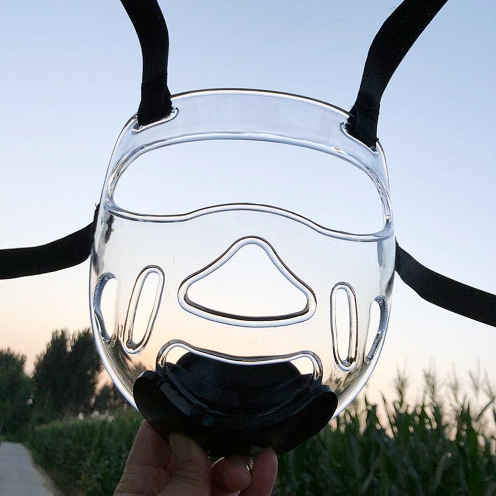 Gonetre Taekwondo Headgear Clear Face Guard Protective Helmet AntiScratch Durable Impact Tested with Vents for Boxing Karate Martial Arts Transparent 22cm High 20.5cm Wide