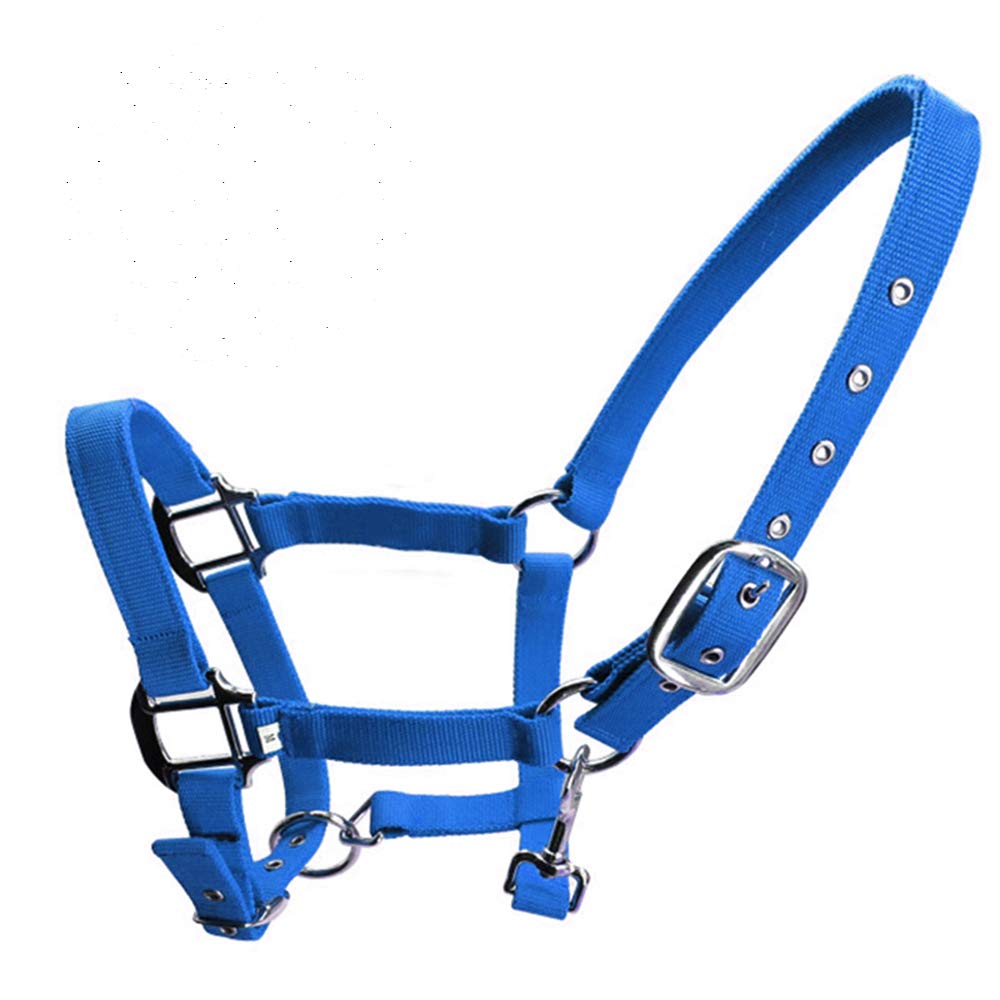 SagaSave Horse Nylon Headcollar Equestrian Padded Headcollar Adjustable Nose And Buckle Closure With Chin Up Clip, Blue-Large