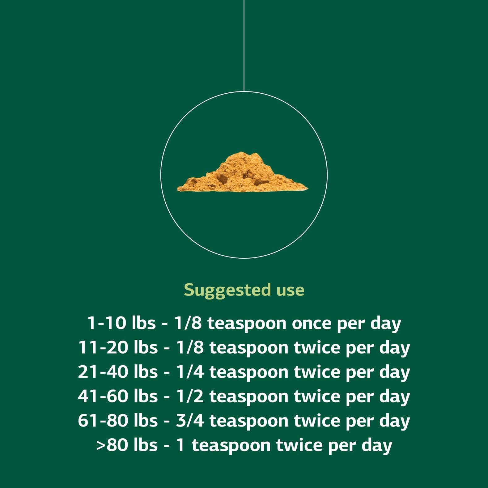 Standard Process Inc. Canine Enteric Support - Digestive System Support for Dogs - Nutritional Dog Supplement for Gut Health - Canine Supplement Formula to Aid Healthy Digestion - 30 g