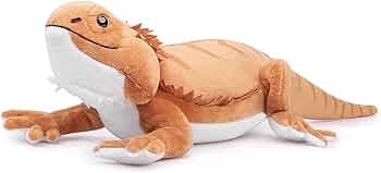 トカゲさま専用　ぬいぐるみ作家　様作品　ドラゴン Amazon.co.jp: lilizzhoumaxフトアゴヒゲトカゲ ぬいぐるみ