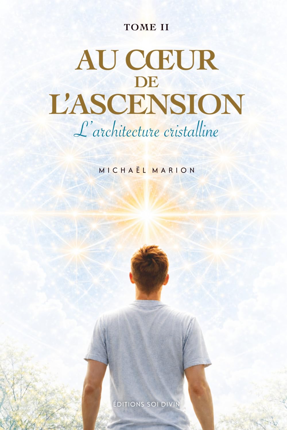 Au cœur de l'Ascension - TOME II: L'architecture cristalline