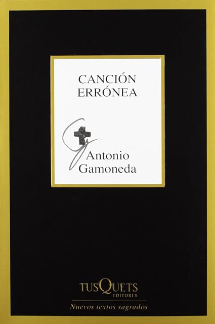 Portada de Cancion Erronea