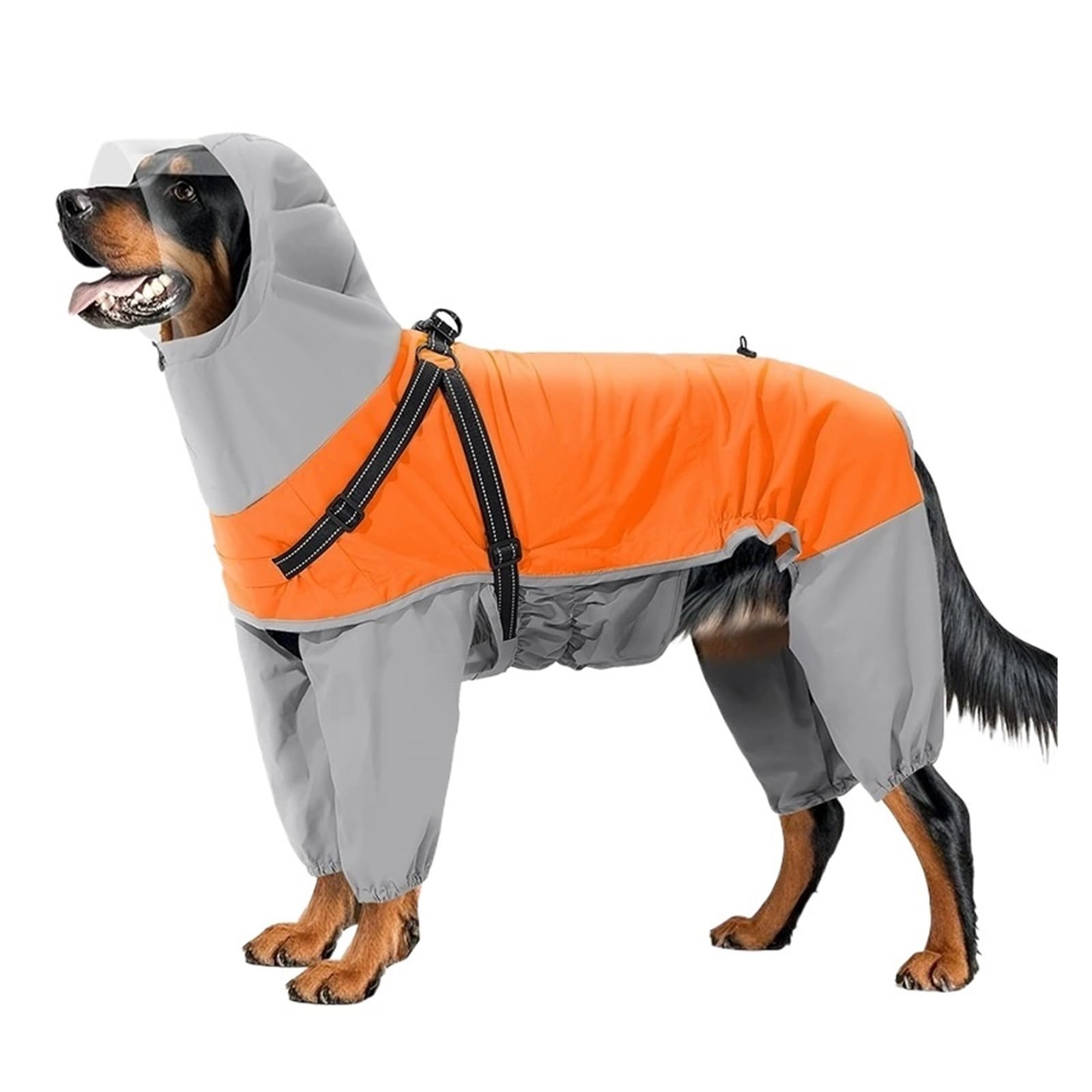 Veste de pluie réfléchissante pour grand chien, imperméable intégral anti-vent