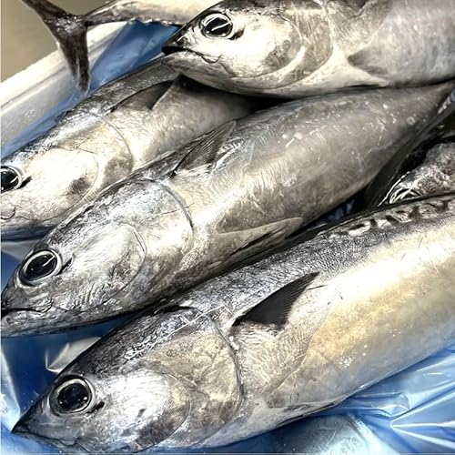  (Ⓚ)10kgy͘pcYzlꂽĂ}ⓀAϕtAĂȂǂɁyⓀցz