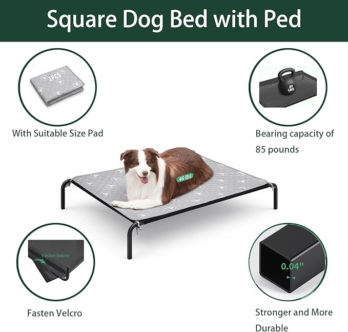 Cama Elevada para Perro Grande con Base y Malla Transpirable miniatura 3