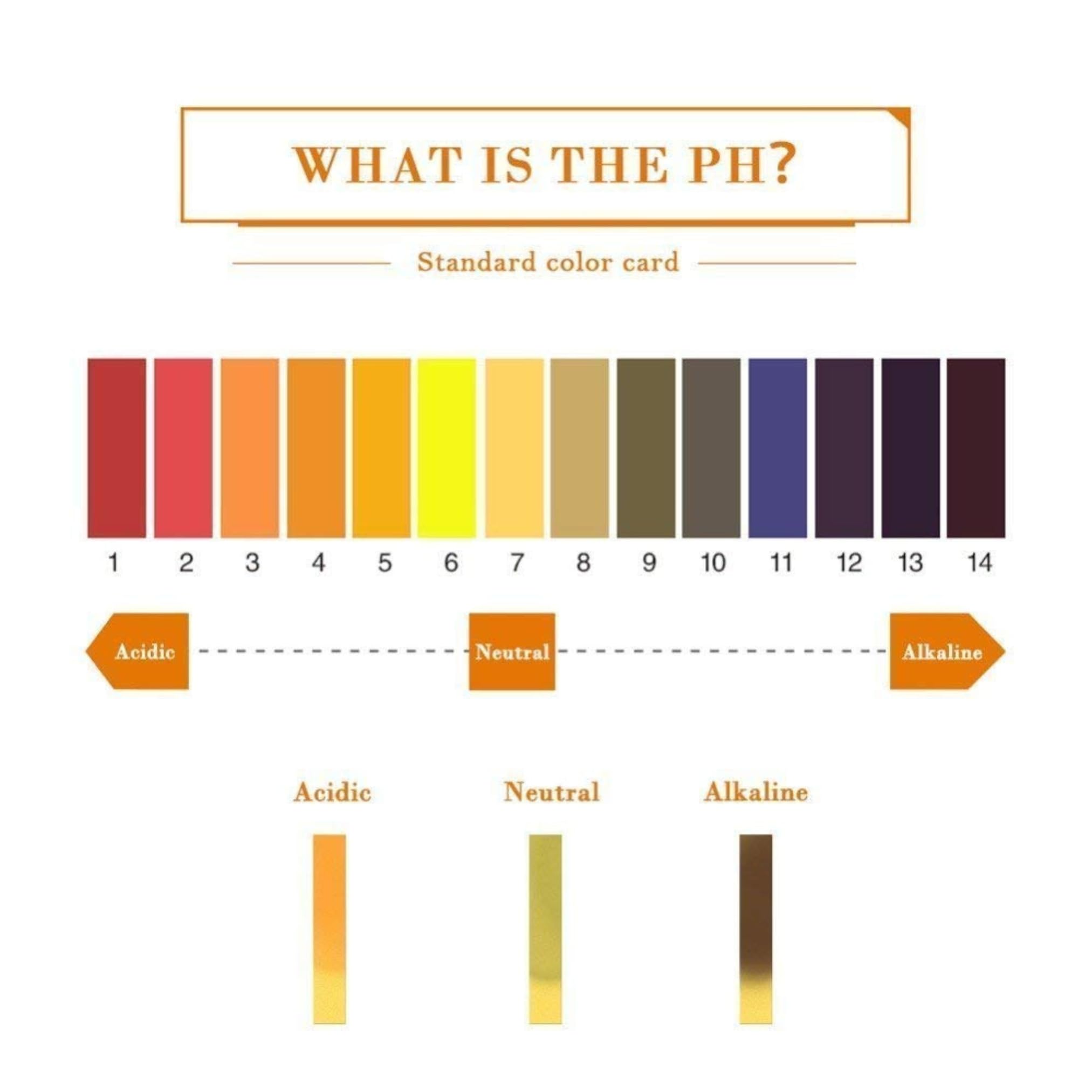 Viraaji PH Paper - Full pH 1-14, PH testing strips, Test Indicator Litmus Paper Water & Soil Testing Kit, litmus paper (Pack of 1, 80 Strips) - Image 2 thumbnail