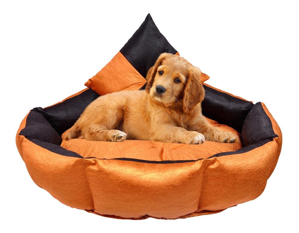 slatters be royal store Reversible Dual Ultra Soft Velvet Luxury Sofa Bed PET Bed | Dog Bed | CAT Bed | Puppies Puppy Bed | Rabbit Bed (Product Dimensions 68*68*20 in CM)