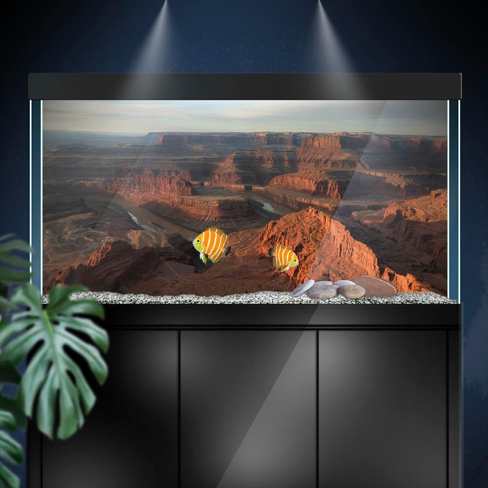 Aquarium Background Stickers - Canyon, River, Rock, Self-Adhesive Fish Tank Reptile Terrarium Decor Poster (90 x 60 cm / (35.4 x 23.6 inches))