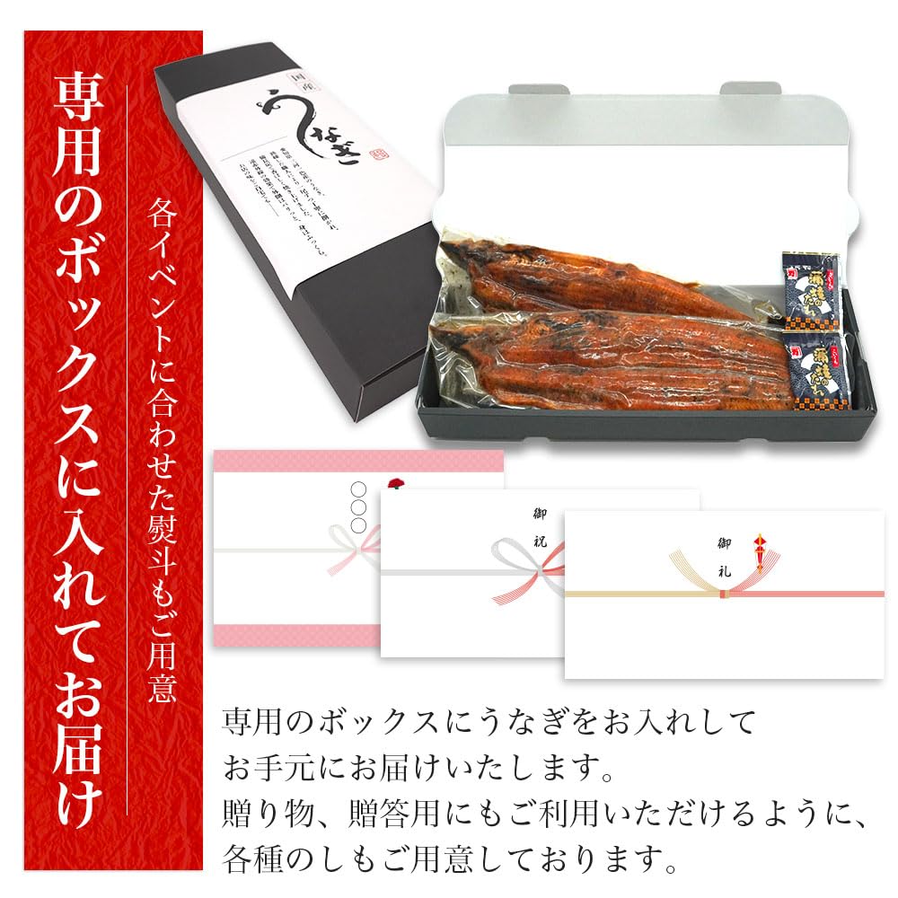 Amazon.co.jp: 【うなぎ専門店小林商店】 愛知県三河一色産 うなぎの 