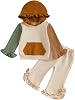 BemeyourBBs Little Toddler Girl Outfit Ruffle Color Block Hoodie Sweatshirt Pants Set Fall Winter Spring Cute Girl Clothes