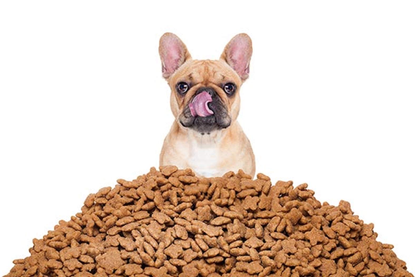 Bone Shaped Biscuits for Dogs (1Kg) (B07ZQHDBJL) Amazon Price History, Amazon Price Tracker