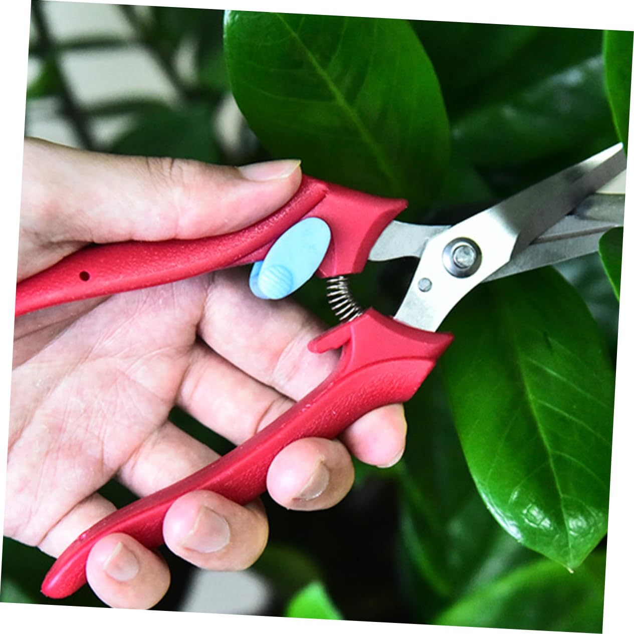 Toyvian 3 Stück Ergonomische Obstschneider für Präzises Trimmen Hochwertige Pflanzenschneider mit Rutschfesten Griffen für Gartenarbeiten