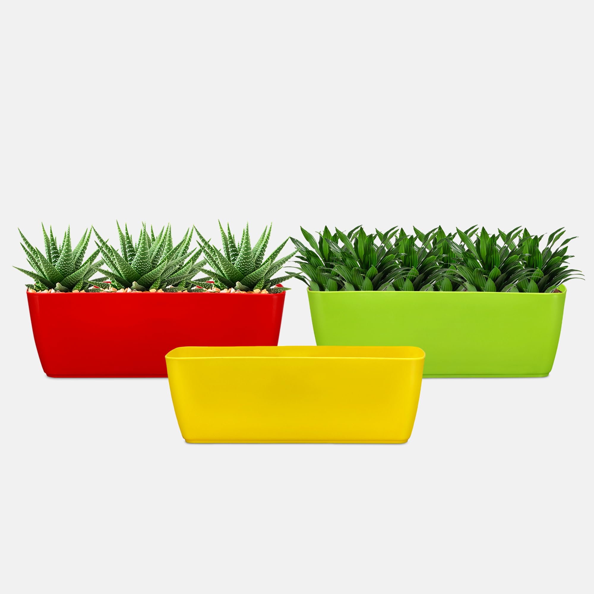 YUCCABE ITALIA SHERA CABI Tray 16 INCH Pack of 3 Pcs Plastic Flower Tray Pot Unbreakable Rectangular Shape Planter Suitable for Home Garden Seedling Indoor and Outdoor (Multicolor) (B09WMNW2QP) Amazon Price History, Amazon Price Tracker