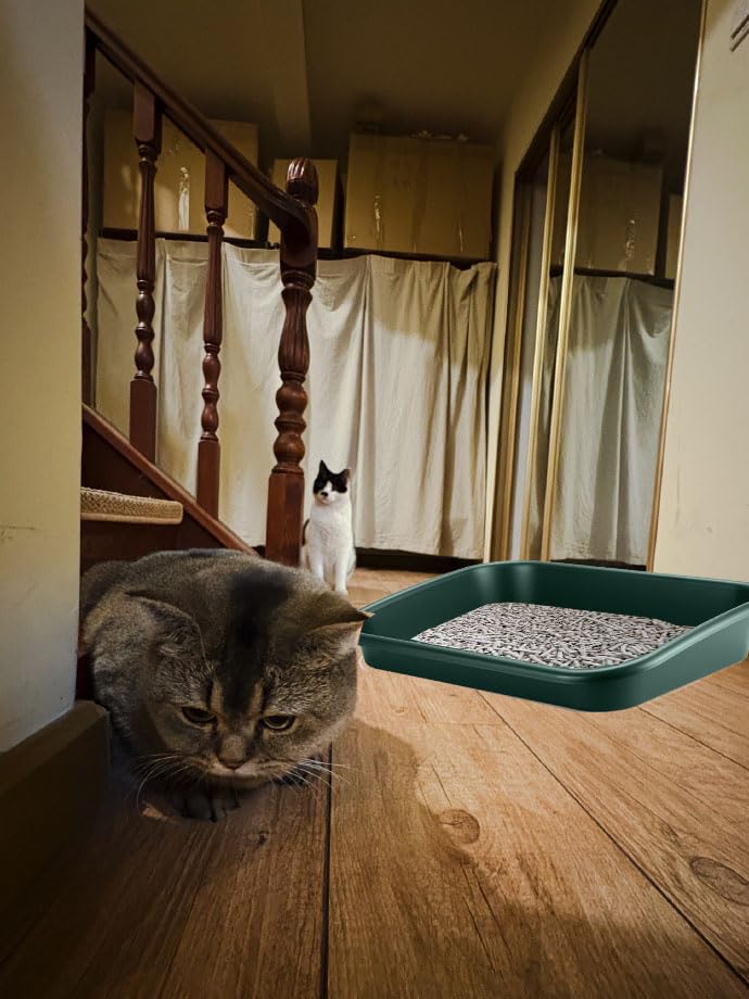 Arenero para gatos Extra Grande con lados altos y entrada baja miniatura 5