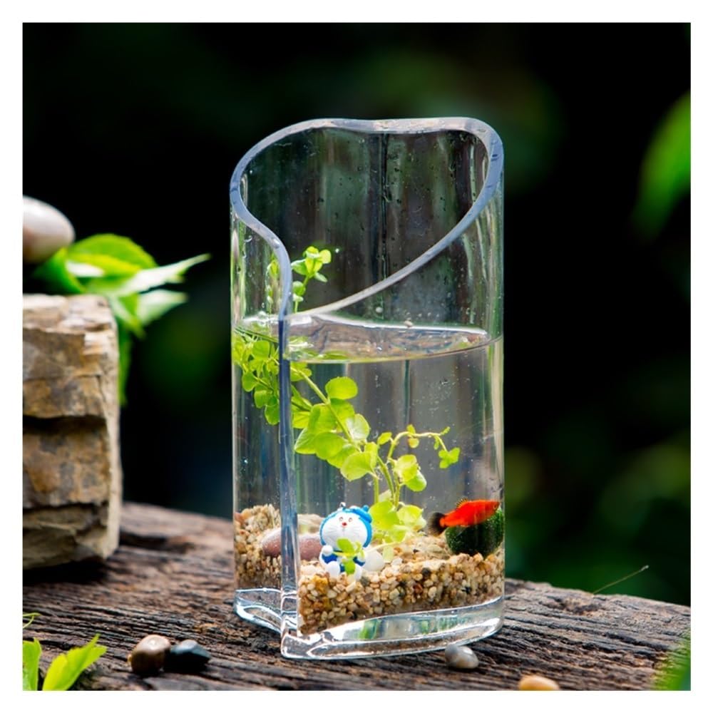 Aquarium Kleines Glas-Goldfisch-Aquarium for den Schreibtisch, Mini-Herz-Aquarium, 12,5 cm x 22 cm
