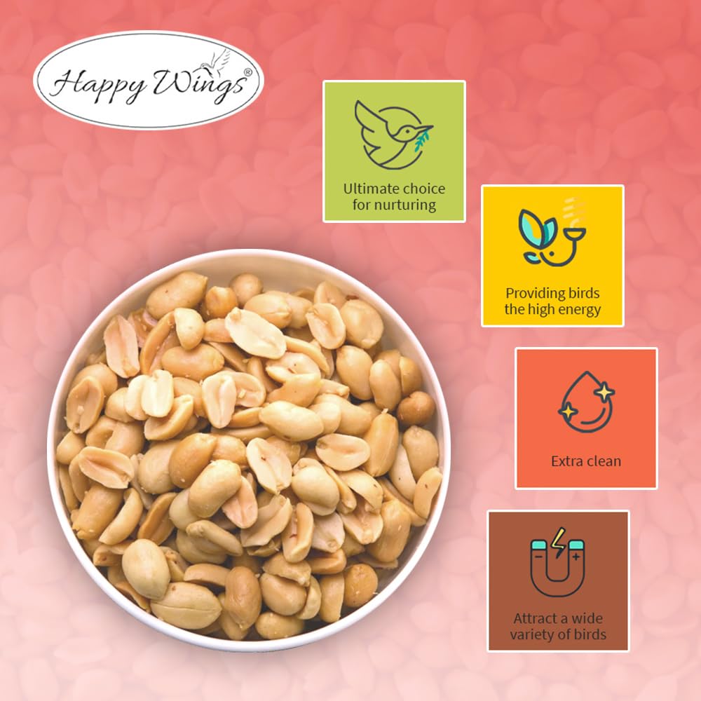 Happy Wings Semillas de maní sin cáscara Alimento para pájaros Silvestres - 5 Libras I Semillas sin Cultivo I Semillas para pájaros Silvestres