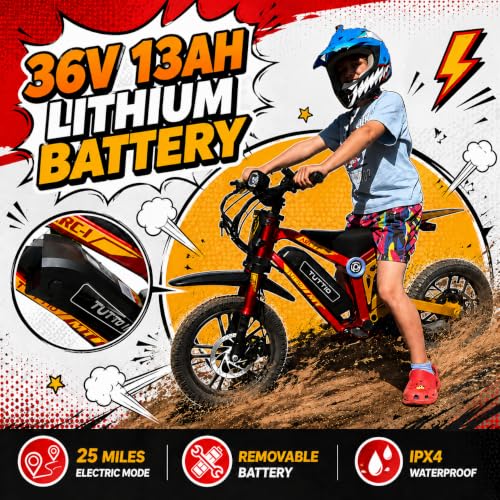 Tuttio ARC-I 36V Electric Dirt Bike
