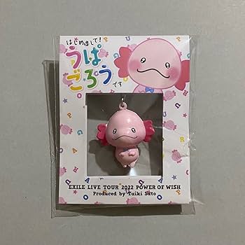 Amazon.co.jp: EXILE 佐藤大樹 produce メンプロ うぱごろう