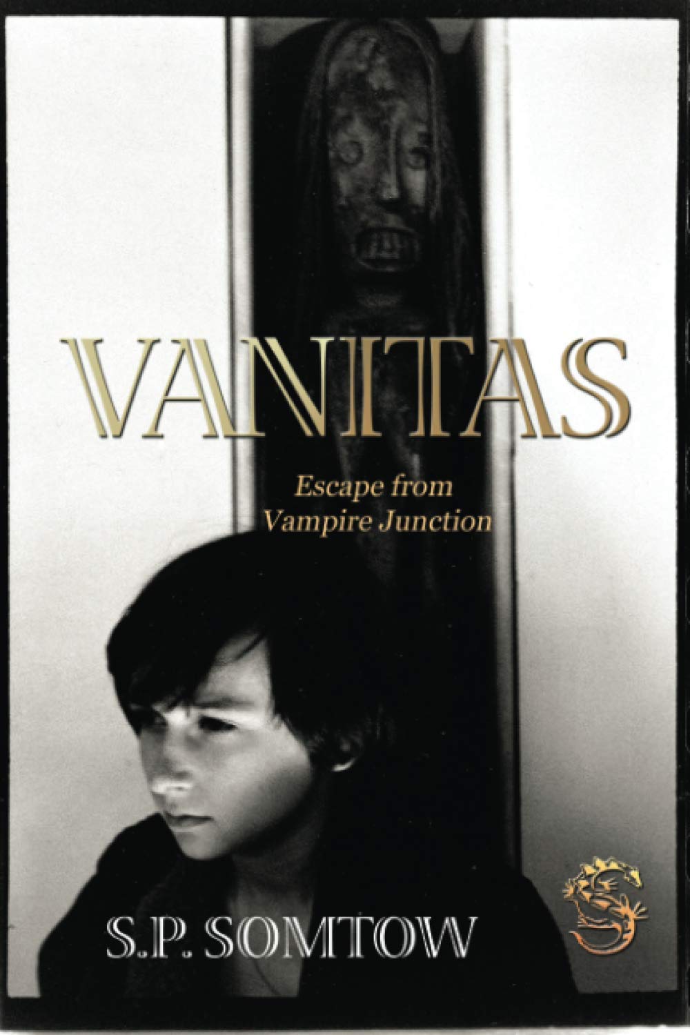 Vanitas: Escape from Vampire Junction: Volume 3 (Timmy Valentine Series)