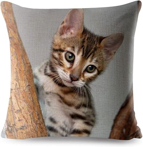 Amazon Co Jp ディアーアニマルズ ベンガルキャット ベンガルキャットクッションカバー ベンガル猫 インテリア ホーム キッチン