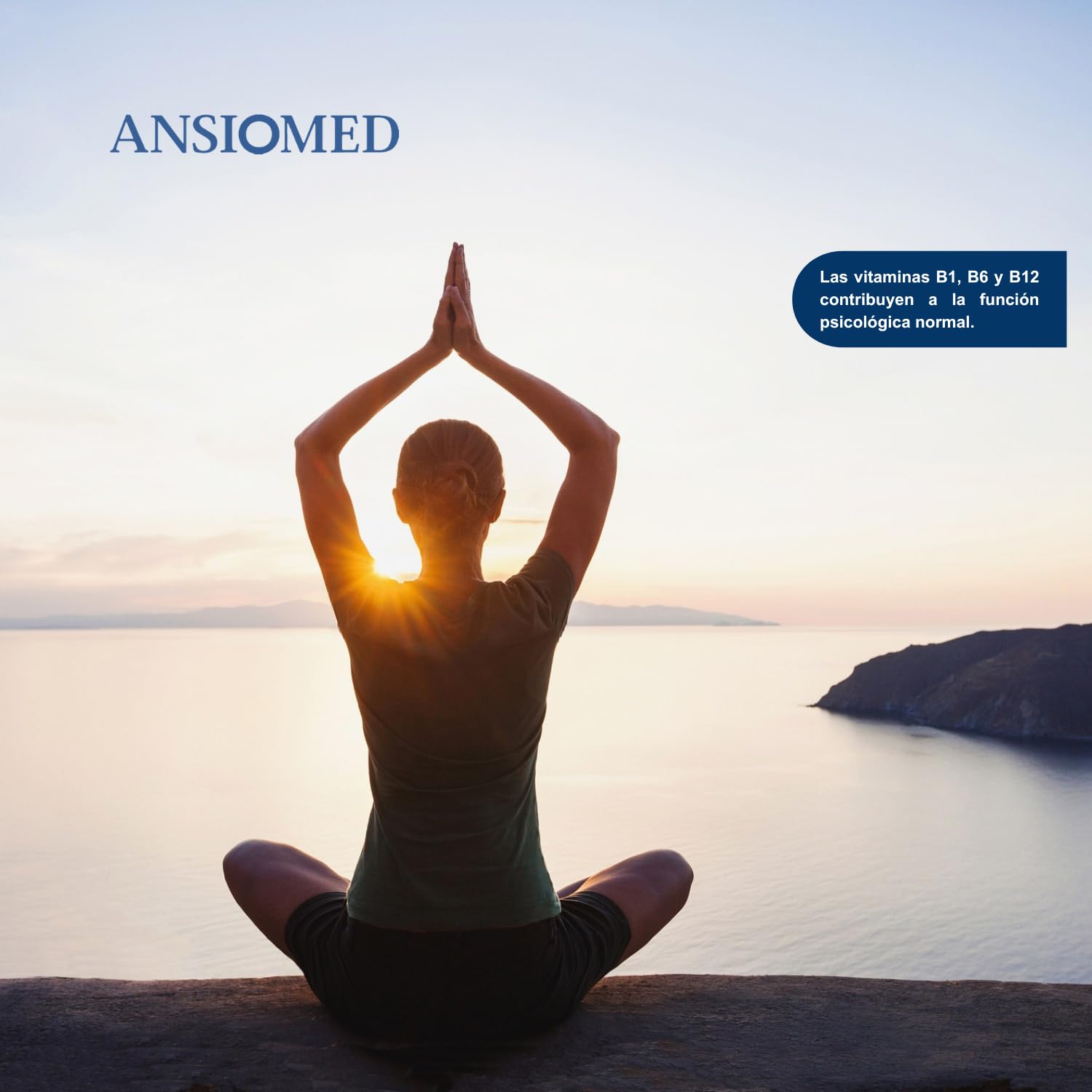Pack Especial Ansiomed Día y Noche - Ansiomed Mente Positiva + Noche- Ayuda a un Estado de Ánimo Positivo en Momentos de Estrés y Contribuye a la Relajación Óptima
