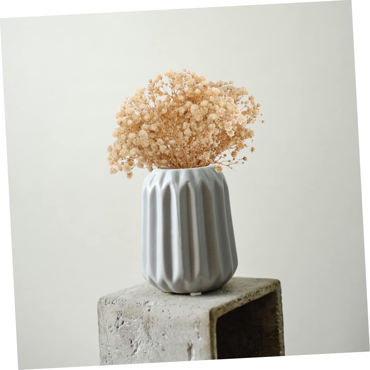 PRETYZOOM 2pièces Bouquets De Fleurs Séchées De Gypsophile De Décorations Naturelles pour Arrangements Floraux pour Décoration De Table Et Intérieur Bouquets De Mariage Et Bricolage