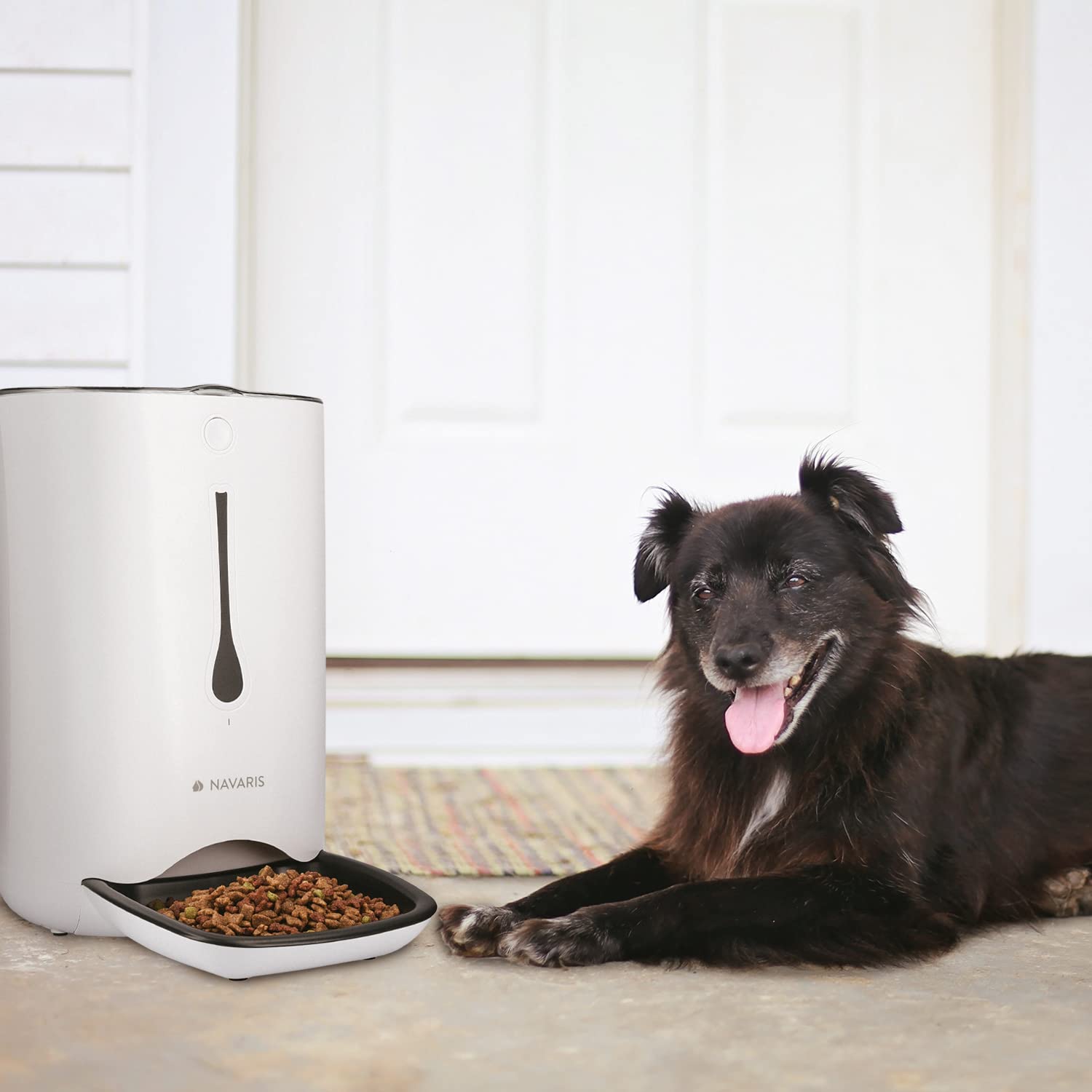 Navaris Automatischer Futterautomat Futterspender mit Timer - 6L Futternapf Automat mit Timer und akustischer Benachrichtigung - für Hund und Katze