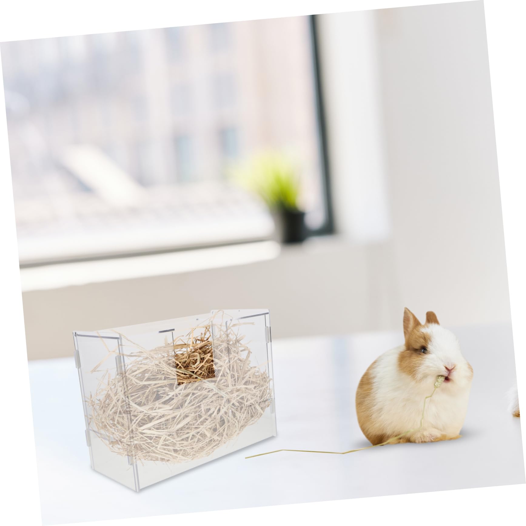 Râtelier à Foin pour Lapins Grosse Capacité en Acrylique
