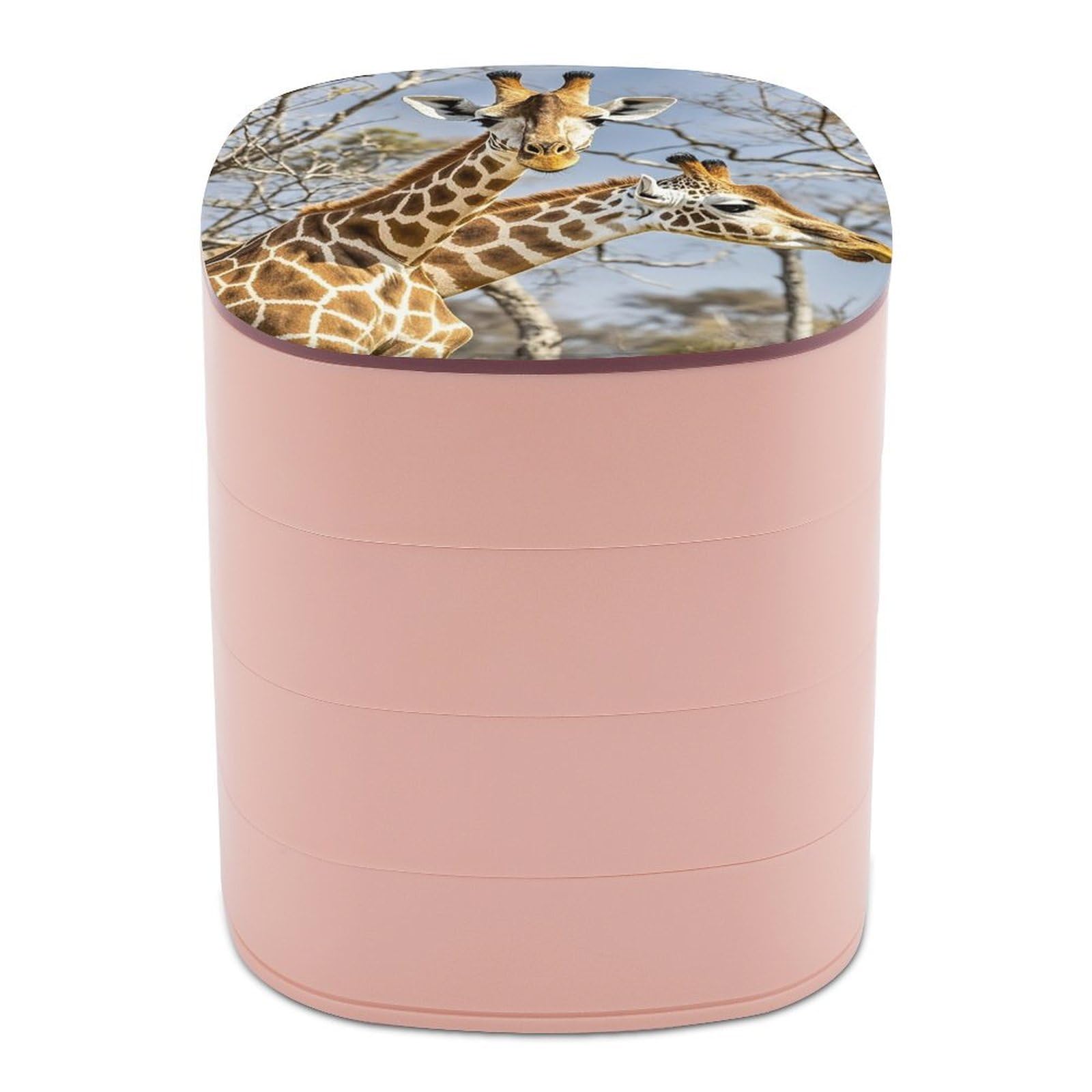 FekiLoot Rotating Giraffe Jewelry Box Large Capacity Jewelry Organizer with Mirror 4 Tier Hoop Ring And Earring Holder With Lid Small Travel Jewelry Case for Women