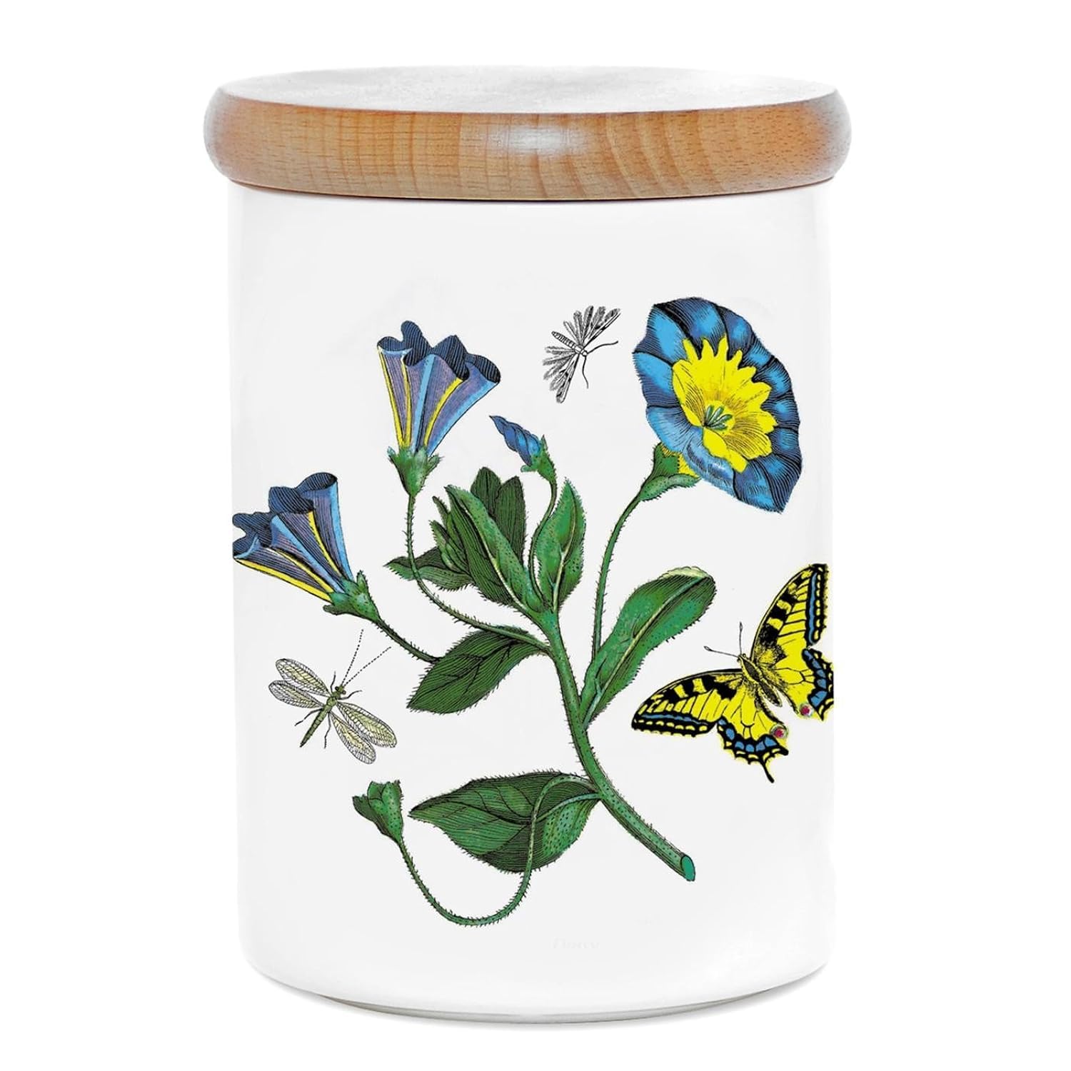 Portmeirion Multi Coloured 5.5" Airtight Jar Convolvulus