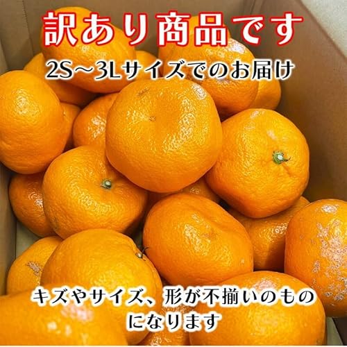 みさわのやさい みかん 10kg 訳あり 有田みかん の商品画像 6